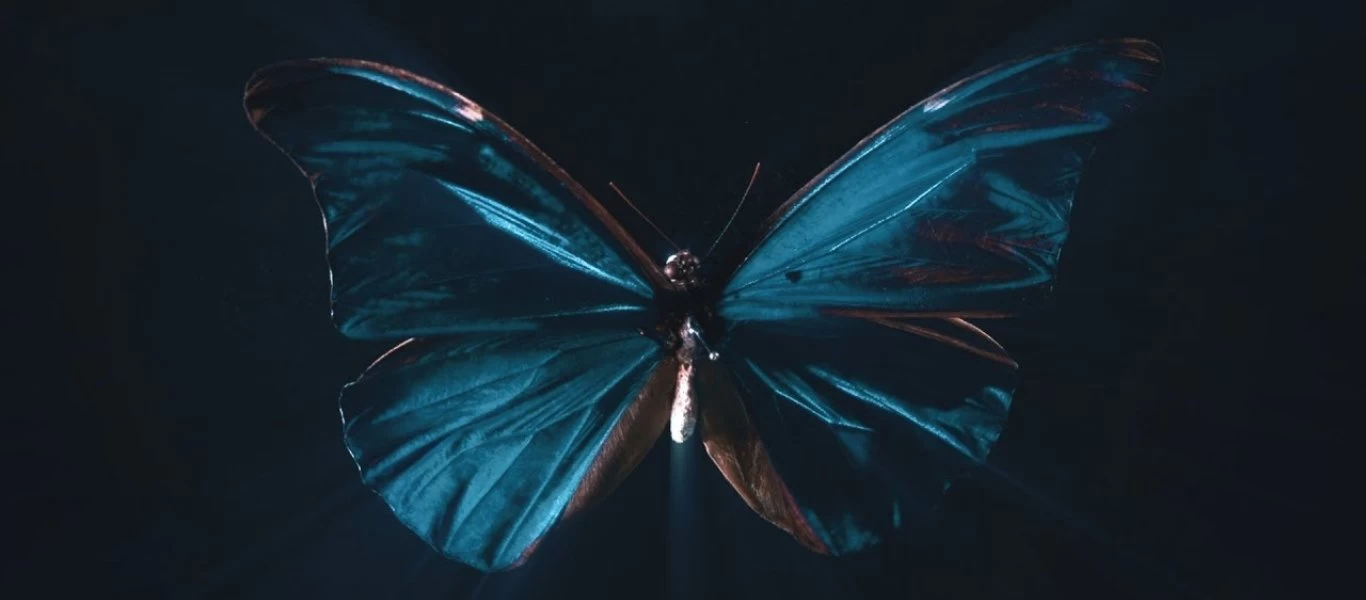 Τι είναι το φαινόμενο της πεταλούδας και γιατί ονομάστηκε έτσι;